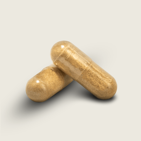 Ašvaganda 500 mg KSM - 66® šaknies ekstraktas “calm mind”, 60 kaps. - Alaushu